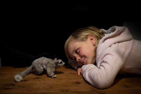 Child looking at a small animal. 