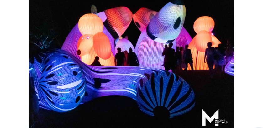 A group of people looking at illuminated sculptures at night.