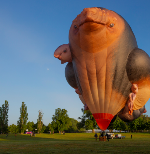 Skywhale hot air balloon.