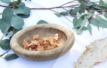 A wooden ceremonial bowl rests on a table with a white cloth. Gum tree leaves surround the bowl and a piece of bark rests to the right. The bowl contains bark fragments. 