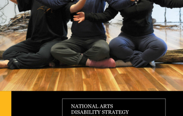 National Arts and Disability Strategy Evaluation Report 2013–2015